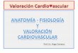 MEDIASTINO · 2015-10-19 · MEDIASTINO El corazón se sitúa en la cavidad torácica, en el sector medio e inferior del mediastino visceral ↓D ↑ME/VD A/PEC P:CD/C