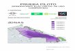 PRUEBA PILOTO - Buenos Aires · prueba piloto monopatines elÉctricos de uso compartido 5 empresas 4000 monopatines 38,04 km2 (105 monopatines x km2) zonas 5 empresas 4 empresas 3