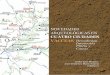 NOVEDADES ARQUEOLÓGICAS - Dessobrigadessobriga.com/wp-content/uploads/2018/09/Esperanza-Martin.pdf · Resumen: Las intervenciones arqueológicas en el yacimiento de Dessobriga, oppidum