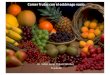 Comer&frutas&con&el&estómago&vacío. · Comer&frutas&con&el&estómago&vacío & & & • La& fruta,& es& principalmente fructosa& (que& puede& ser transformada& con& facilidad& en