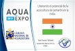 Título de la conferencia - Cámara Nacional de Acuaculturaaquaexpoguayaquil.cna-ecuador.com/wp-content/uploads/2017/10/R… · Ravi Kumar Yellanki Vaisakhi Bio-Marine (P) Ltd, India