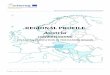 REGIONAL PROFILE Austria - ConPlusUltra · 2018-01-14 · Crowdfunding Network). In the case of non-financial return crowdfunding models individuals support a project because of emotional