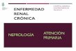 RENAL CRÓNICApacienterenal.general-valencia.san.gva.es/wp-content/... · 2018-12-12 · min/ 1,73 m2 pero no tratados con diálisis crónica ni trasplante renal (categorías de FG