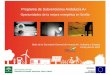 Programa de Subvenciones Andalucía A+ - CafSevilla · 2019-04-11 · Autoconsumo eléctrico . Elementos generales de valoración de las solicitudes: La potencia y la producción