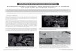 Encefalopatía hepática secundaria a shunt esplenorrenal ...scielo.isciii.es/pdf/diges/v110n6/1130-0108-diges-110-06-00400.pdf · IMÁGENES EN PATOLOGÍA DIGESTIVA Encefalopatía