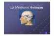 La Memoria Humana - Blogs Maristas Segovia · La Memoria Humana. Definici ón Es un factor fundamental del aprendizaje en general, ya que mediante su utilizaci ón somos capaces de
