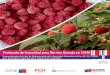 Protocolo de Inocuidad para Berries Basado en FSMA...la colaboración de la Agencia Chilena para la Inocuidad y Calidad alimentaria (ACHIPIA) y NSF International Chile S.A., en el