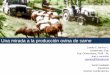 Una mirada a la producción ovina de carneasoovinoscolombia.org/wp-content/uploads/2019/02/sheep-outlook-2017-1.pdfMayor calidad en la leche para derivados como el queso, Mayor calidad