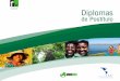 DIPLOMAS DE Diplomasapoidea.co/sites/default/files/Brochure-Diploma-Empresas-Turisticas-Socialmente-Respon...Colombia, Argentina y Chile, con Organizaciones empresariales, Administraciones