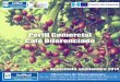 Presentación - maga.gob.gt cafe.pdf · Perfil comercial del café diferenciado 1 –10 Café diferenciado1. El café (Coffea arabica, Coffea canephora) y otras especies, pertenece