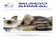 Mundo Animal · 2014-06-12 · Las mascotas más exóticas Consejos para cuidar un cachorro Mundo Animal No es nada nuevo, apare- cen nuevas modas, unas mejores, otras peores, pasa-jeras