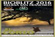 Fundación Monte Mediterráneo Bioblitz 2016 - …sociedadgaditanahistorianatural.com/wp-content/uploads/...2016/02/12  · especies en su edición de 2014, celebrada en el Parc del