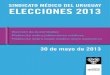 SINDICATO MÉDICO DEL URUGUAY ELECCIONES 2013 · realización de un plebiscito de apoyo al laudo único médico nacional equitativo entre el cuerpo de electores médicos en las elecciones