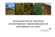 Presentación de PowerPoint...degradados (manejo adaptativo de renovales y bosques nativos degradados). La restauración de diferentes ecosistemas cuya superficie disminuyó a contar