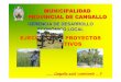 Exposici n Municipalidad Provincial de Cangallo...•Construcción e implementación de planta piloto de procesamiento Cereales • Articulado con el sub componente productivo agrícola