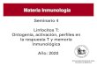 Seminario 4 Linfocitos T: Ontogenia, activación, perfiles en la … · 2020-01-28 · - Seminario 2 - Linfocitos y linfa retornan a la sangre via el ducto torácico Lonfocitos vírgenes