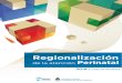 Regionalización - Argentina.gob.ar · REGIONALIZACIÓN DE LA ATENCIÓN PERINATAL EN LA ARGENTINA Barreras, experiencias y avances en el proceso de Regionalización Perinatal Conclusiones