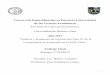 Carrera de Especialización en Docencia Universitaria de ...bibliotecadigital.econ.uba.ar/download/tpos/1502-0639_BullorL.pdf · Carrera de Especialización en Docencia Universitaria