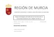 REGIÓN DE MURCIA - CARM · 2018-02-09 · Mapas de afección: son mapas donde se representa, de cada zona geográfica, el área afectada por niveles sonoros superiores a 55, 65 y