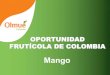 OPORTUNIDAD FRUTÍCOLA DE COLOMBIA...Mango 0.0 5,000.0 10,000.0 15,000.0 20,000.0 25,000.0 30,000.0 TOT ASIA TOT CENTR. AM. & CAR. TOT SOUTH AMERICA TOT NORTH …