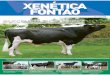 revista xenetica fontao numero 1 castellano · 2019-01-24 · los toros de máxima ﬁabilidad de España (99%), con casi 2.000 hijas en su prueba (en más de 1.000 establos) de un