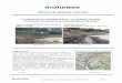 Informe de projecte executat - Naturalea · 2018-05-22 · Informe de projecte executat Construcció d’un entramat Krainer i un paviment de fusta, al Cementiri Comarcal de Roques