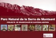 Parc Natural de la Serra de Montsant · 2015-11-06 · 2011 . Diagnosi del sector oleícola del Parc Natural de la Serra de Montsant ; ... (29.119 ha) 0 100 200 300 400 500 600 700