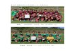 優勝 DESAFIO CLUB DE FUTBOLtakamatsu-fa.fem.jp › 2018_sawayaka_hyosho.pdf優勝 DESAFIO CLUB DE FUTBOL（E） 準優勝 高松第一フットボールクラブ（M） 第3 位