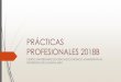 PRÁCTICAS PROFESIONALES 2017B - CUCEAcucea.udg.mx/sites/default/files/documentos/adjuntos...La práctica profesional es considerada en la currícula en un sentido amplio, de manera