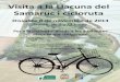 Visita a la Llacuna del Samaruc i cicloruta › sites › default › files › ribera cicloturisme...Samaruc i cicloruta Dissabte 3 de novembre de /-.1 Horari: de 9 a 13 hores Per