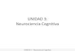 UNIDAD 3: Neurociencia Cognitiva · UNIDAD 3 – Neurociencia Cognitiva . Neurociencia, lenguaje y cognición social (cont.) • En la negociación está implícito el diálogo, la