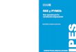 ipes RSE y PYMES - ESADE | Fusion Pointitemsweb.esade.edu/wi/research/iis/pdfs_web/rseypimes.pdfRSE y PYMES: Una apuesta por la excelencia empresarial 7 1. Introducción En los últimos