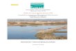 BORRADOR · Web viewBORRADOR Convención sobre los Humedales (Ramsar, Irán, 1971) Misión de Asesoramiento Ramsar N 68 al Humedal de Importancia Internacional (Sitio Ramsar) S’Albufera