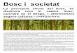 Bosc i societat - antlaformiga.organtlaformiga.org/publicacions/pdfs/documents/d195_agost_2018.pdf · A escala de país, nosaltres subscrivim la percepció que el paisatge, i el bosc