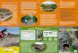 ¿Qué son las Vías Verdes? · folleto vias verdes mayo 2020web corregido.indd Created Date: 5/8/2020 9:06:48 AM 
