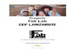 Proyecto Fab Lab CEP LANZAROTE - Gobierno de Canarias€¦ · Proyecto STEAM-L 4 2. ¿Qué es un Fab Lab? 5 2.1. Concepto 5 2.2. Antecedentes históricos 5 2.3. Características del