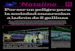 ElNatalino N - La Prensa Austral · 2017-06-21 · La Prensa Austral miércoles 21 de junio de 2017 El Natalino 21 E n prisión preventiva quedó ayer un sujeto imputado de robar