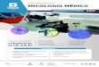 email micología médica · POSTULACIONES 2 DE MAYO AL 21 DE JULIO INICIO DE CLASES: 4 DE AGOSTO 2017 CAMPUS DE TALCA Facutad De Cl iencias De La sa lud MÁS INFORMACIÓN