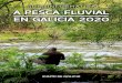 GUÍA INFORMATIVA A PESCA•FLUVIAL EN GALICIA 2020 - Federación Galega de Pesca · 2020-03-04 · Guía • NORMATIVA 6 Tipos e importes dos permisos, licenzas e recargas de pesca