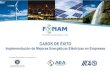 CASOS DE ÉXITO - Fondo Nacional del Ambiente · 2017-06-26 · CASOS DE ÉXITO . Implementación de Mejoras Energéticas Eléctricas en Empresas . Proyecto financiado con el apoyo