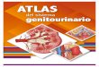 ATLAS - Senosiain€¦ · y tronco celiaco Ligamento triangular derecho del hígado Duodeno Riñón derecho Fascia ... prerrenales, renales y posrenales. “Prerrenal” hace alusión