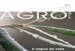 FEBRER [2018] AGRO - AGROactivitatProjectes cabdals en un entorn d’incertesa La presentació de les propostes del cooperativisme agrari al nou Govern, sorgit de les eleccions del