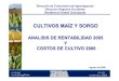 CULTIVOS MAÍZ Y SORGO - FIRA · Elaboración de costos de cultivo de Sorgo 11y 13 agosto 2006 y maíz P.V 2006 Análisis y resultados de las encuestas 3 - 10 agosto 2006 Realizar