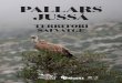 PALLARS JUSSÀ · Mamífers i animals aquàtics. Entre els grans mamífers del Pallars Jussà, sobresurt el cérvol, que va començar la . seva recuperació a Catalunya a la Reserva