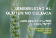 SENSIBILIDAD AL GLUTEN NO CELIACA€¦ · Czaja-Bulsa G. Non coeliac gluten sensitivity - A new disease with gluten intolerance. Clinical Nutrition 2015; 34: 189-194. Tonutti E y