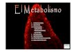 I. INTRODUCCIÓN. II. OBJETIVOS. III. CONTENIDOS: IV ... Metabolismo.pdf · El Metabolismo. Definición. Tipos de reacciones metabólicas: catabolismo y anabolismo. La respiración