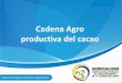 Cadena Agro productiva del cacao - UNCTAD | Home...290 viveros de cacao. • Bodegas y centros de acopio, 212 registrados. • Los exportadores de Cacao y semi elaborados: En el 2014,