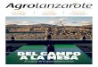 DEL CAMPO A LA MESA - Agrolanzarote | La web del campo de ... · agrario y agroalimentario”, el valor añadido de los productos agrícolas, la diversificación hacia actividades
