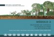 GUÍA PARA LA RESTAURACIÓN DE BOSQUES MONTANOS …€¦ · a la restauración de los bosques montanos occidentales del Ecuador, se pre-senta un listado de 95 especies potenciales