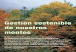 Plan Forestal Español Gestión sostenible de nuestros montes€¦ · montes españoles. Gestión sostenible de nuestros montes. l inicio de este año ha sido muy positivo para los
